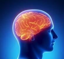 Le CBD fonctionne-t-il pour la sclérose latérale amyotrophique ?