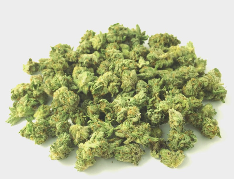 Nouvelle SMALL BUD OUTDOOR