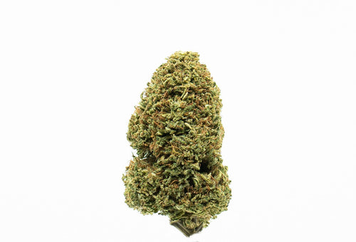 JACK HERER