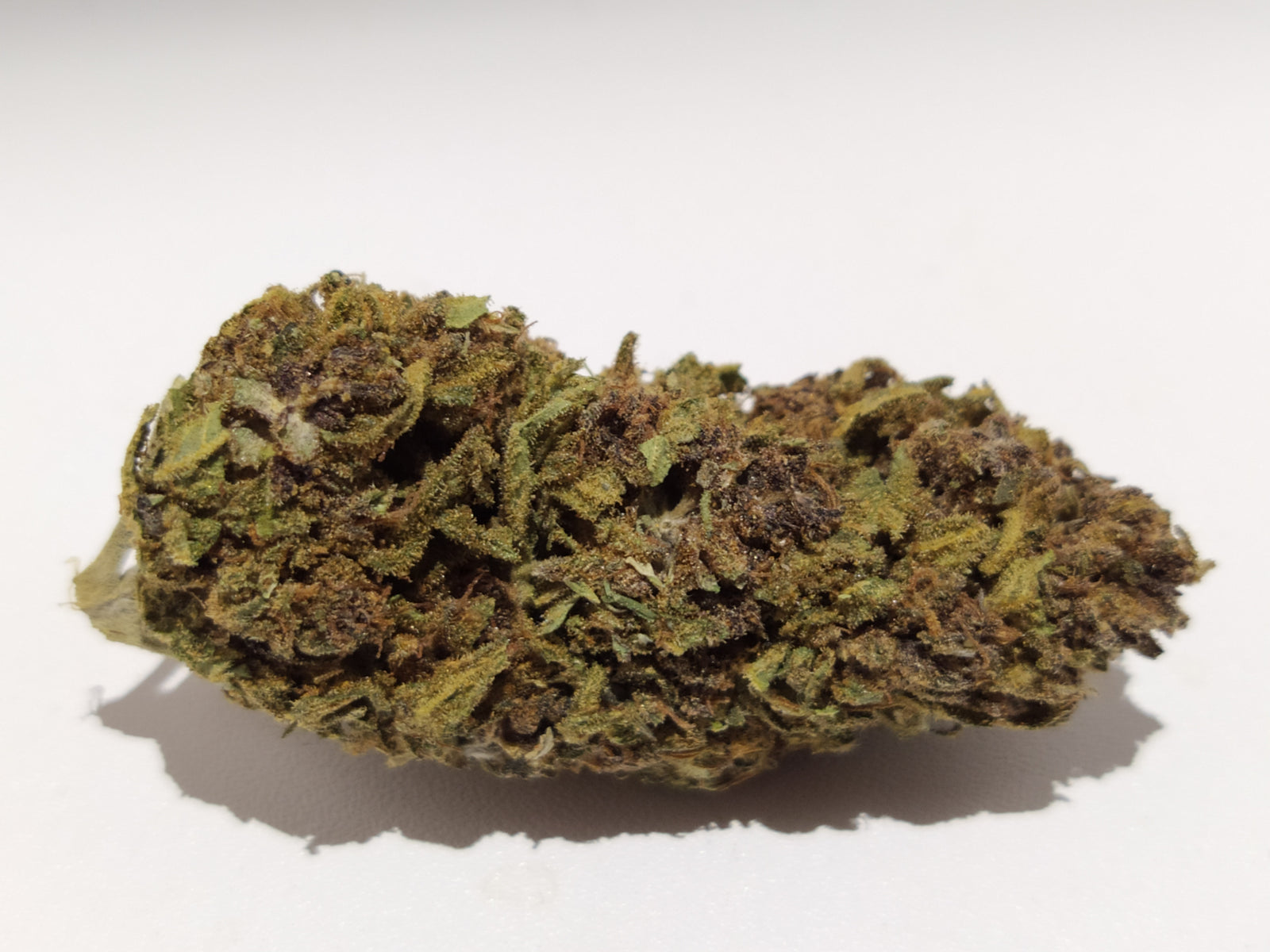 V1 cbd GREEN REGAL CBD 