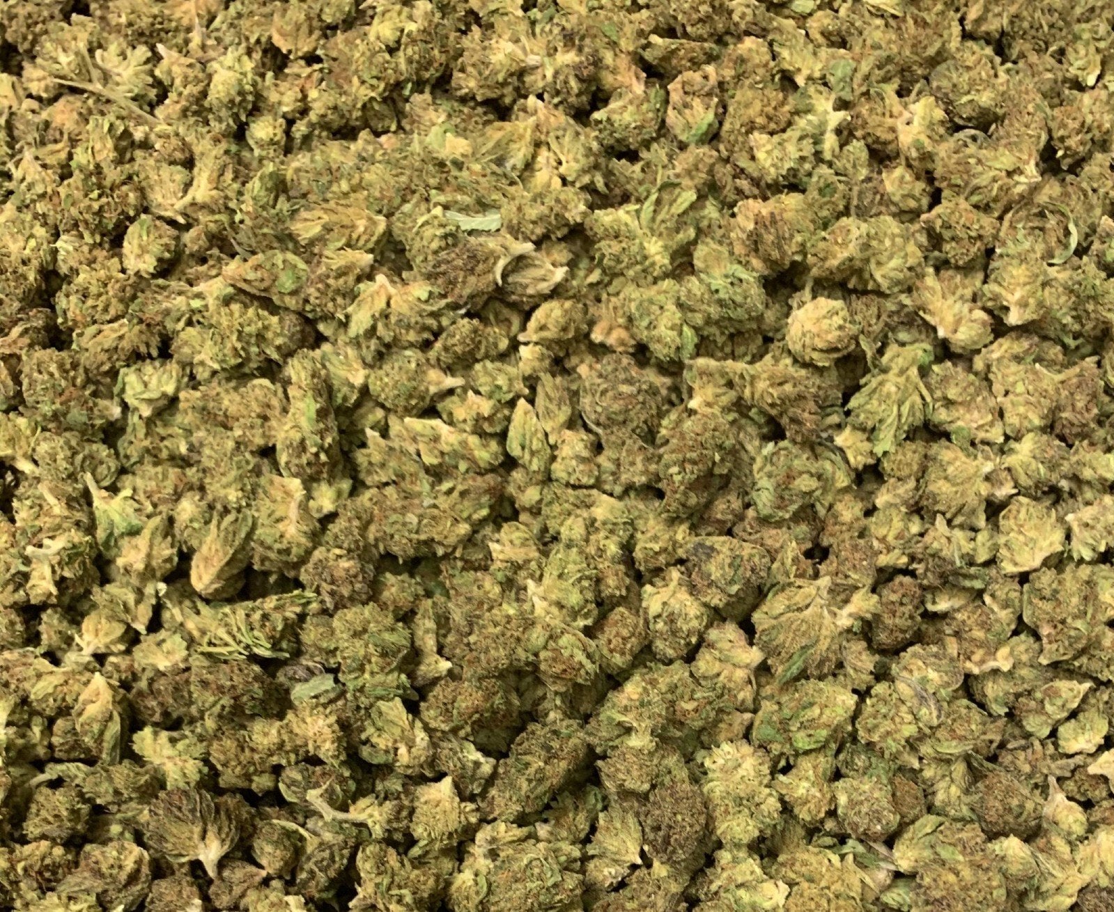 SMALL BUD GREENHOUSE