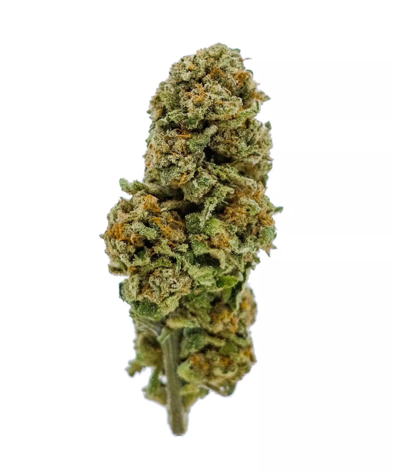 Super skunk GREEN REGAL CBD 