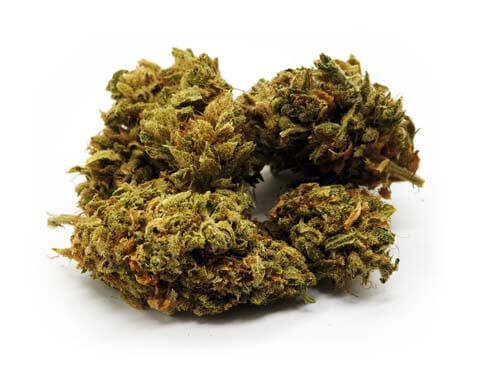 Maxi pack CBD DESTOCK  ⚠️ 250 G ⚠️